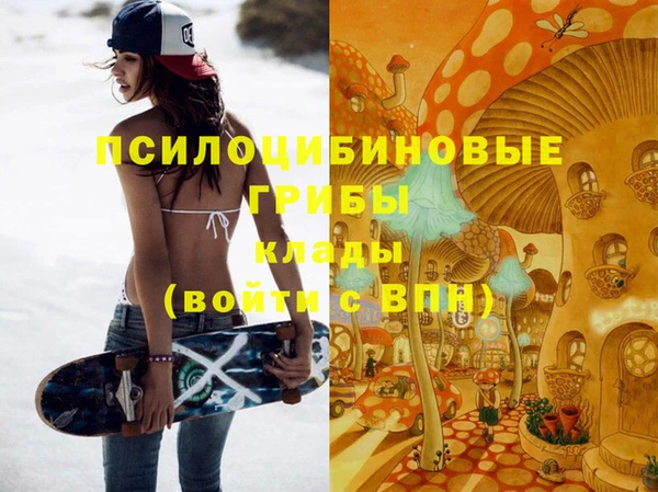 круглые Вяземский